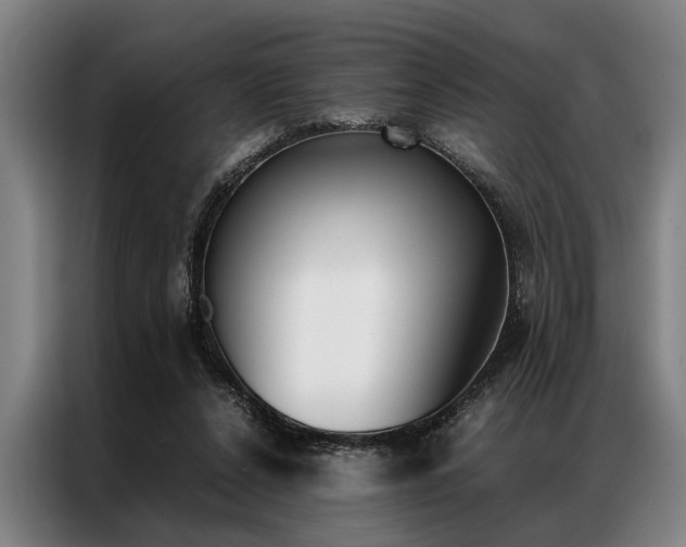 X0000087310256200704200724