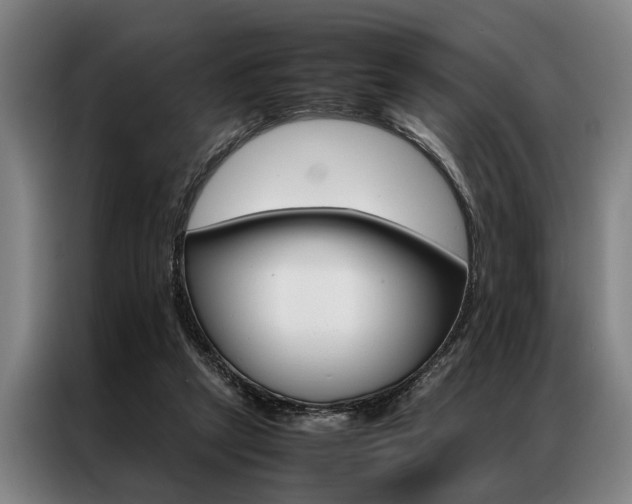X0000087310257200704200724