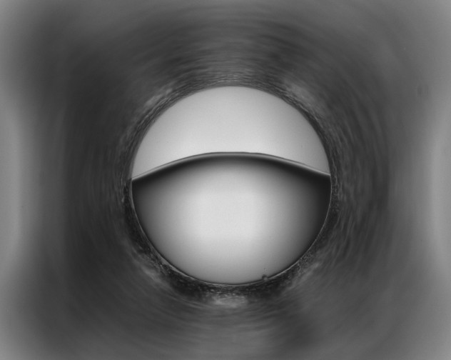 X0000087310258200704200724