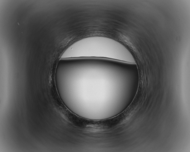 X0000087310259200704200724