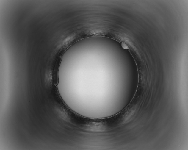 X0000087310260200704200724