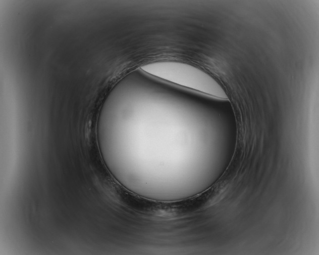 X0000087310263200704200724
