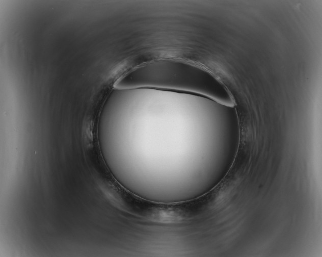 X0000087310264200704200724