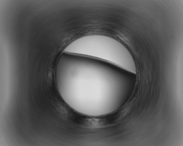 X0000087310265200704200724