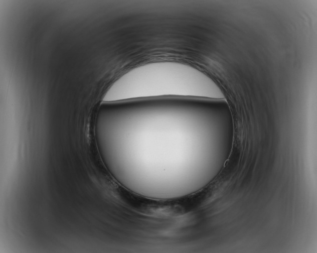 X0000087310267200704200724