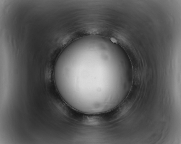 X0000087310268200704200724