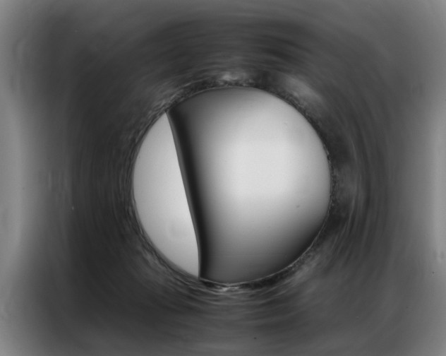 X0000087310269200704200724
