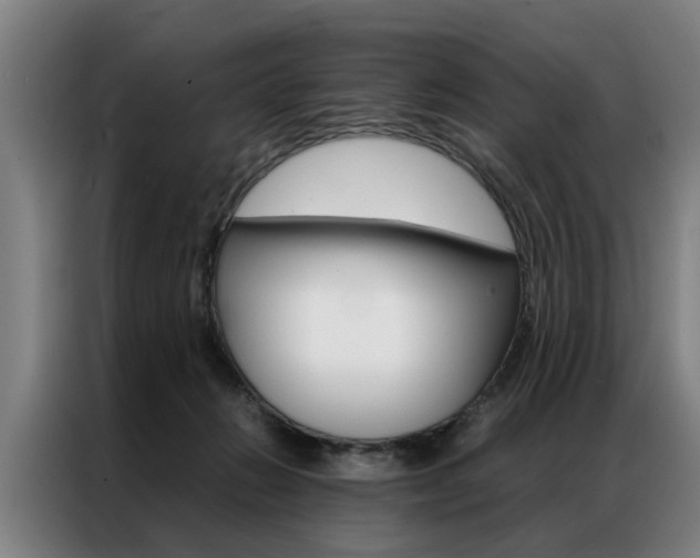 X0000087310270200704200724