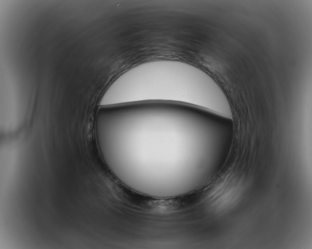 X0000087310273200704200724