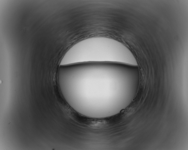 X0000087310274200704200724