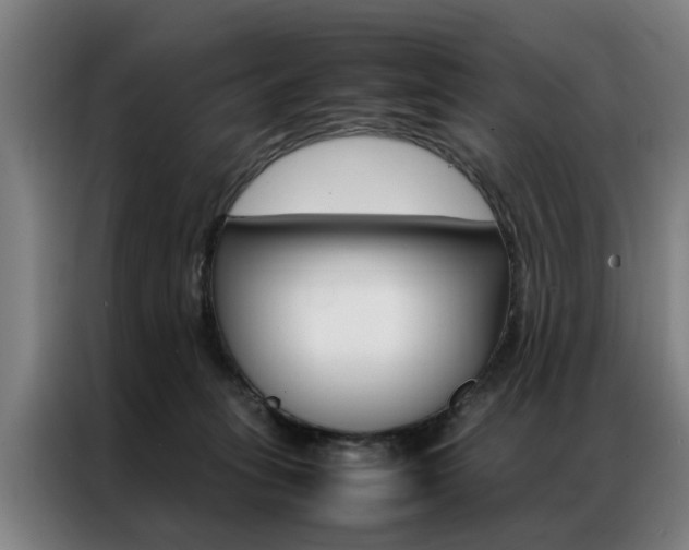 X0000087310275200704200724
