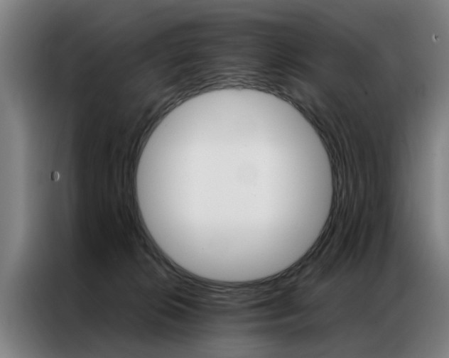 X0000087310276200704200724