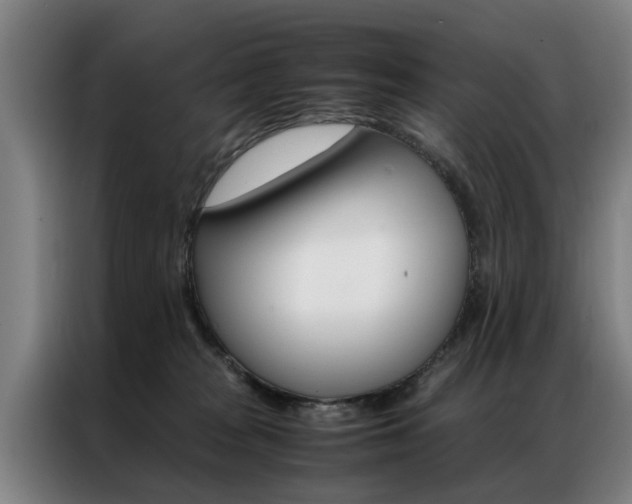 X0000087310277200704200724