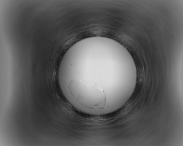 X0000087310279200704200724