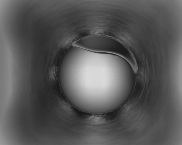 X0000087310280200704200724