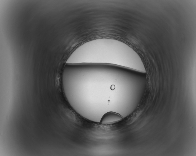 X0000087310282200704200724