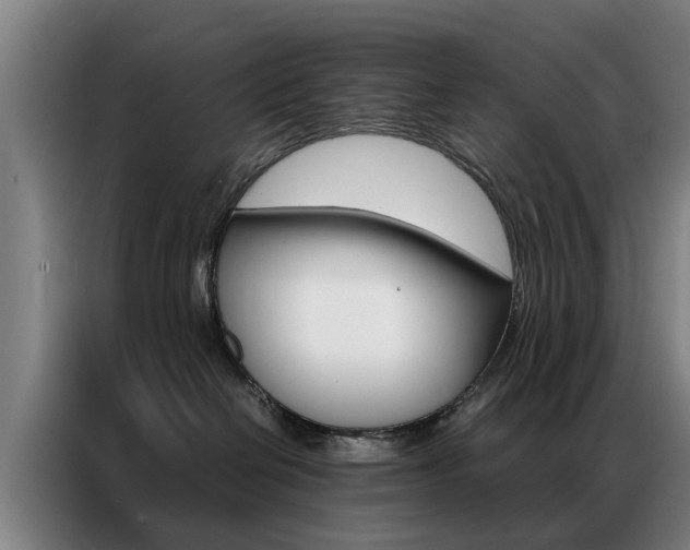 X0000087310286200704200724