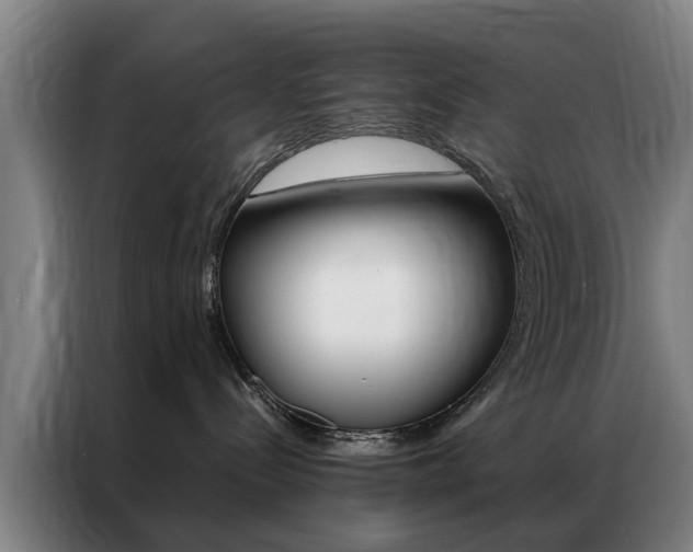 X0000087310288200704200724