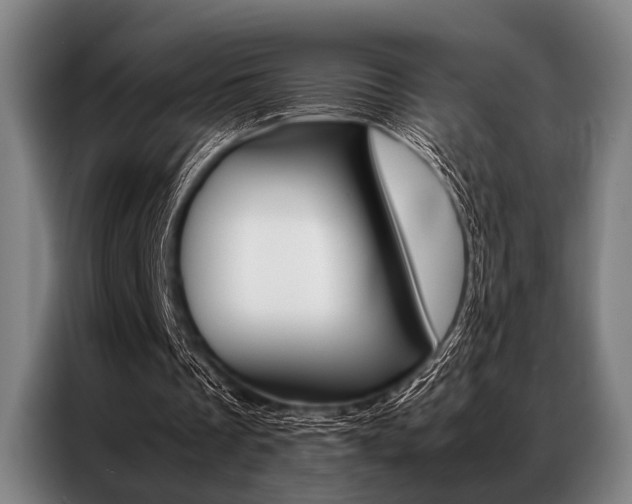 X0000087310289200704200724