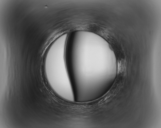 X0000087310291200704200724