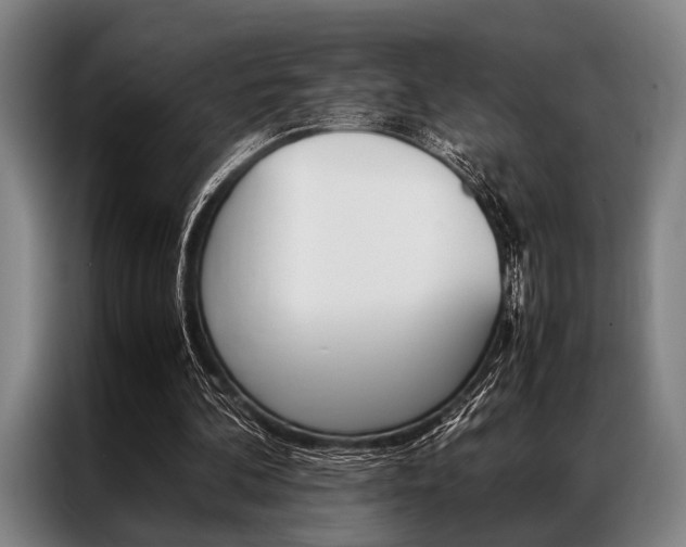 X0000087310292200704200724