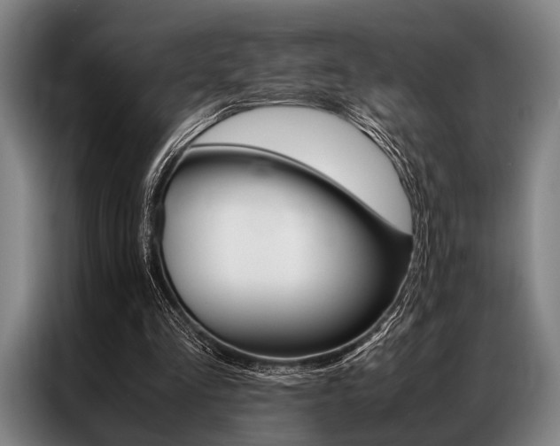 X0000087310293200704200724