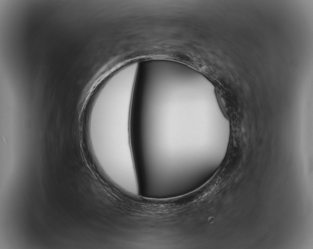 X0000087310295200704200724