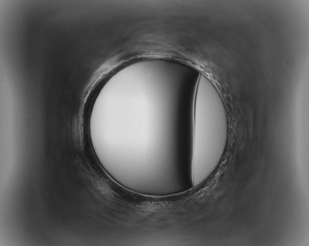 X0000087310296200704200724
