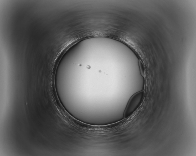 X0000087310297200704200724
