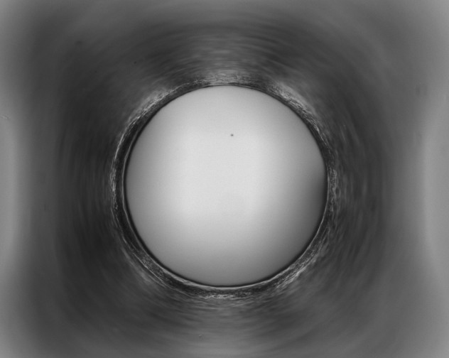 X0000087310298200704200724
