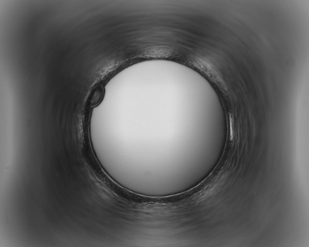 X0000087310300200704200724