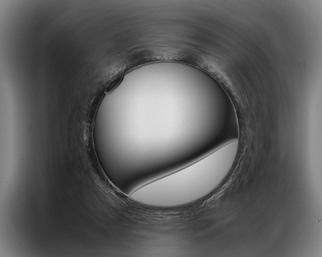 X0000087310305200704200723