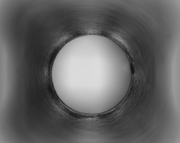 X0000087310306200704200723