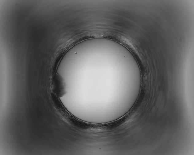 X0000087310307200704200723