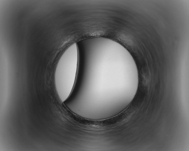 X0000087310308200704200723