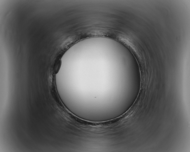 X0000087310309200704200723