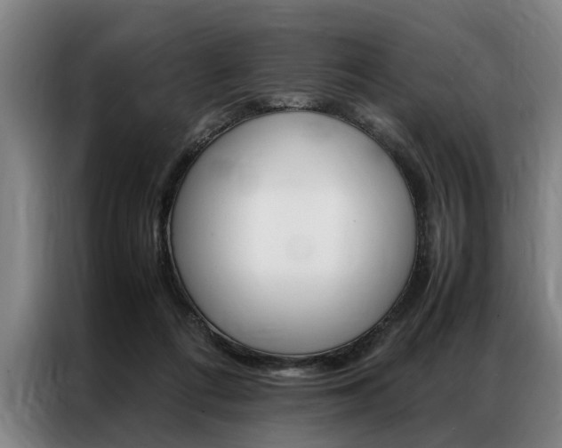 X0000087310312200704200723