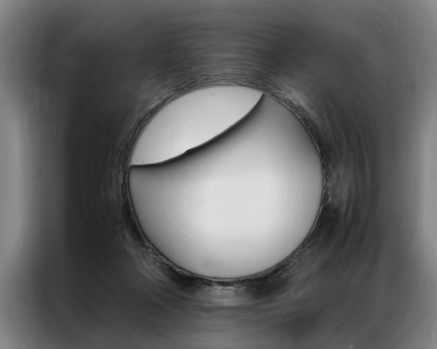 X0000087310314200704200723