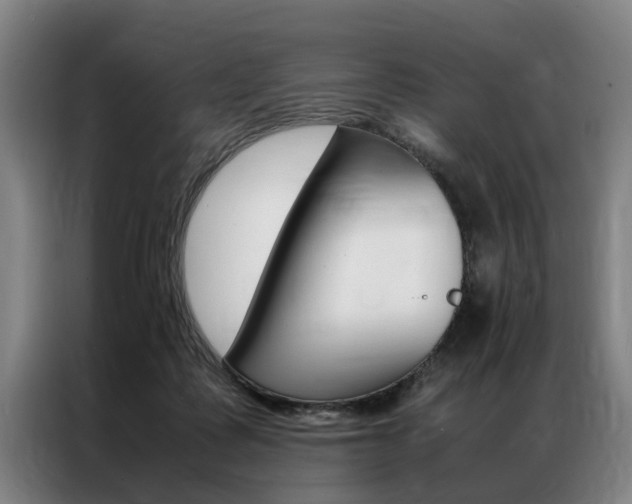 X0000087310315200704200723