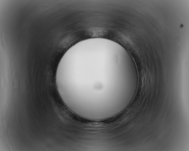 X0000087310316200704200723