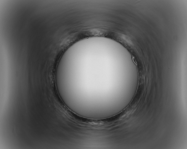X0000087310317200704200723