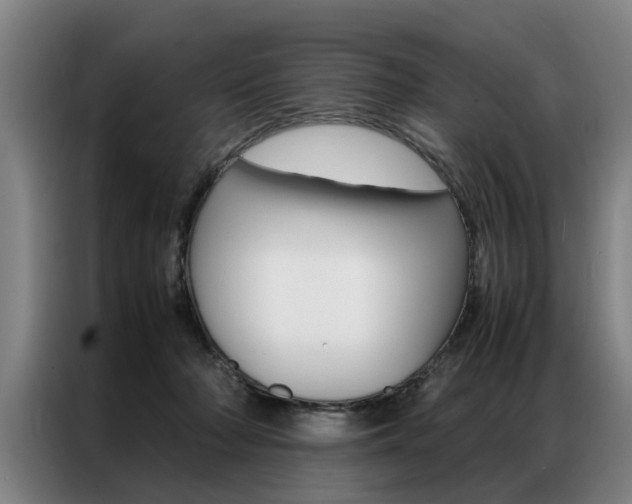 X0000087310318200704200723