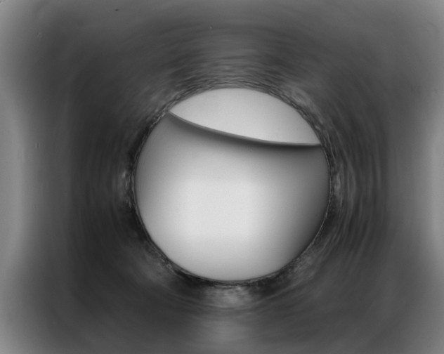 X0000087310322200704200723