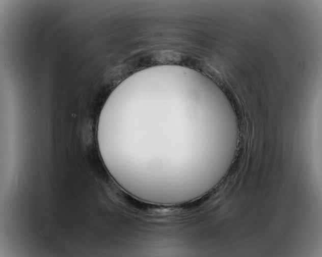 X0000087310323200704200723