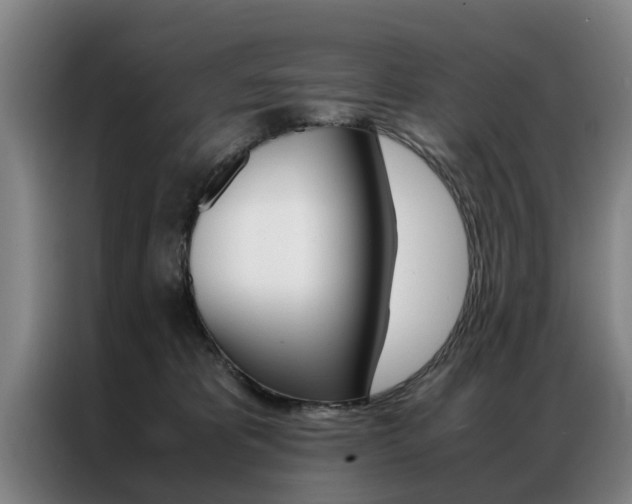 X0000087310325200704200723
