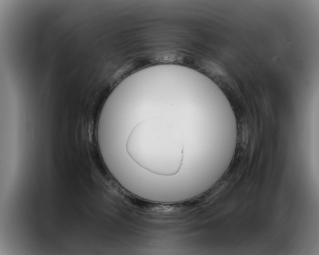 X0000087310326200704200723