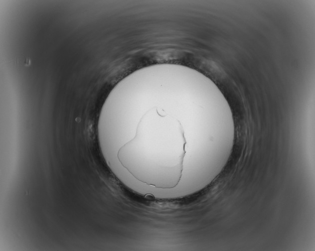 X0000087310327200704200723