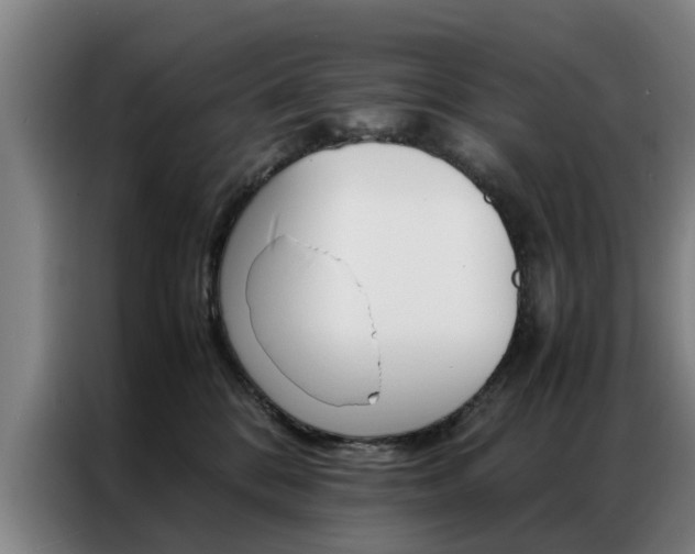 X0000087310328200704200723