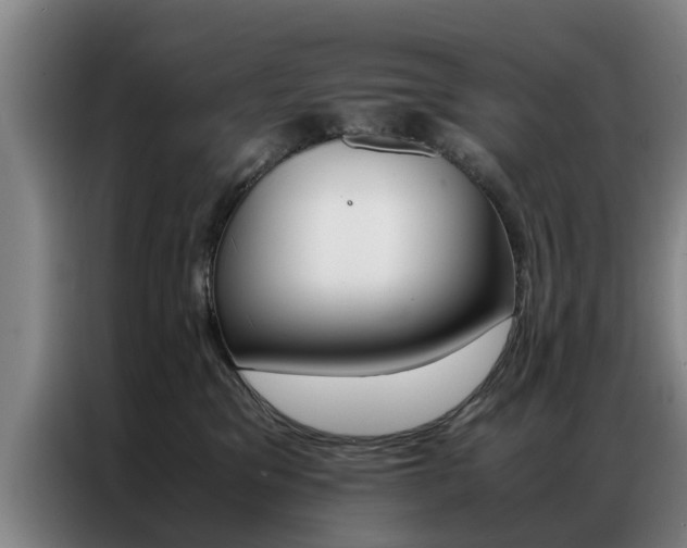 X0000087310329200704200723