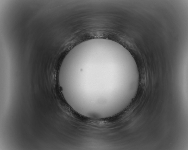 X0000087310332200704200723